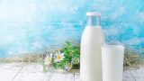 Süt Kullanımının Bitkilere Olan 5 Faydası