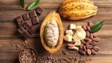 Kakao Flavanolleri Nedir? Faydaları Nelerdir?