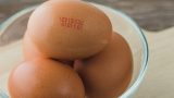 Yumurta Üzerindeki Hangi Kod Ne Anlama Geliyor?