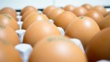 Yumurta Hakkında 8 Değerli Bilgi